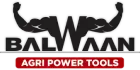 Balwaan Logo